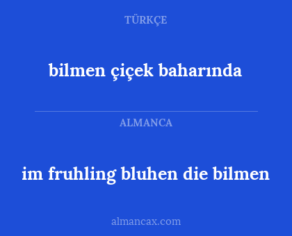 im fruhling bluhen die bilmen - bilmen çiçek baharında