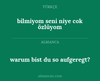 warum bist du so aufgeregt? - bilmiyom seni niye cok özlüyom
