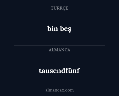tausendfünf - bin beş