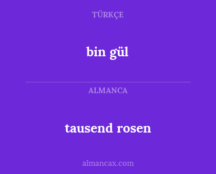 tausend rosen - bin gül