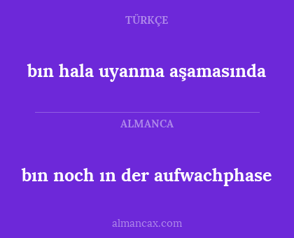 bın noch ın der aufwachphase - bın hala uyanma aşamasında