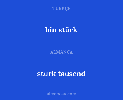 bin stürk - sturk tausend