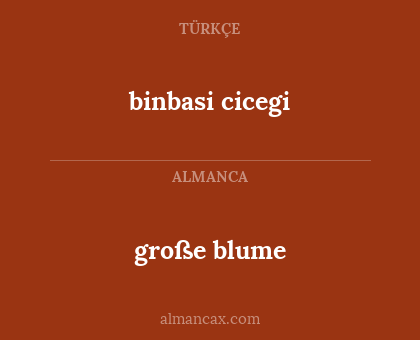 binbasi cicegi - große blume