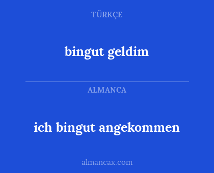 ich bingut angekommen - bingut geldim