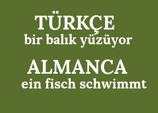 a+bal%C4%B1k+y%C3%BCz%C3%BCyor-ein+fisch+schwimmt.png