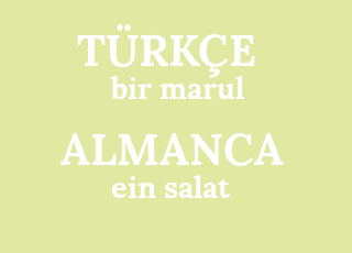 bir+marul-ein+salat.png