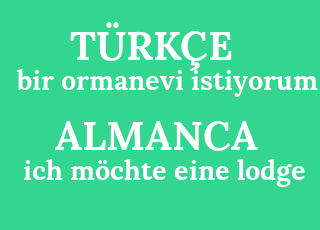 bir+ormanevi+istiyorum-ich+m%C3%B6chte+eine+lodge.png