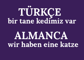 bir+tane+kedimiz+var-wir+haben+eine+katze.png