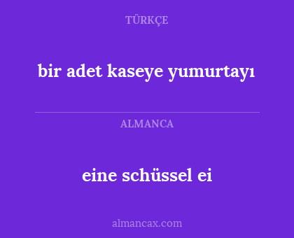 eine schüssel ei - bir adet kaseye yumurtayı