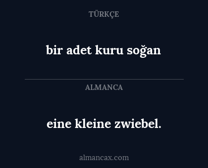 bir adet kuru soğan - eine kleine zwiebel.