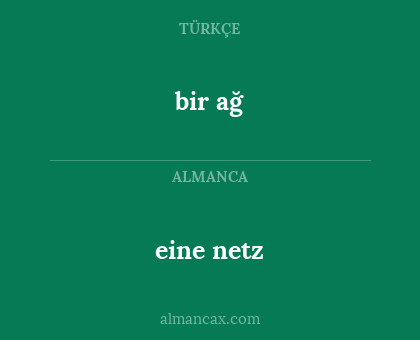 bir ağ - eine netz