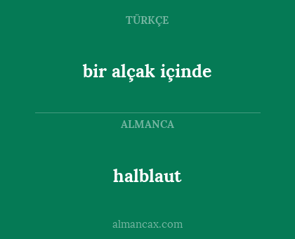 halblaut - bir alçak içinde