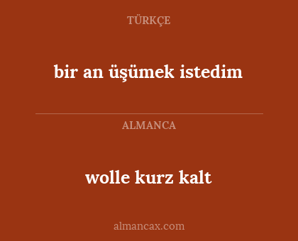 bir an üşümek istedim - wolle kurz kalt