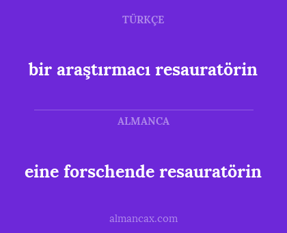 bir araştırmacı resauratörin - eine forschende resauratörin