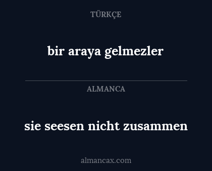 bir araya gelmezler - sie seesen nicht zusammen