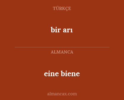 bir arı - eine biene