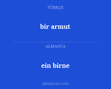 ein birne - bir armut