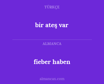 fieber haben - bir ateş var