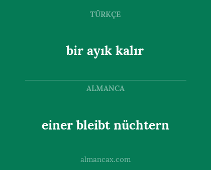 einer bleibt nüchtern - bir ayık kalır
