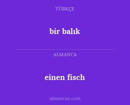 einen fisch - bir balık