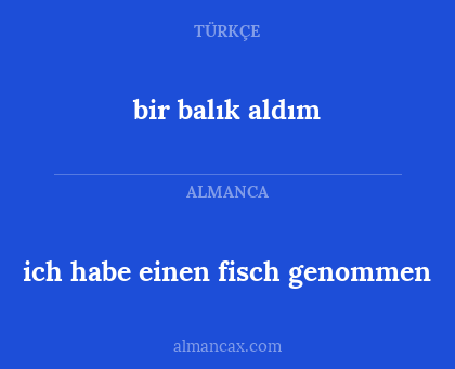 ich habe einen fisch genommen - bir balık aldım