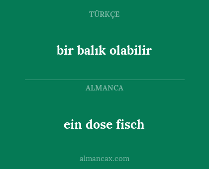 bir balık olabilir - ein dose fisch