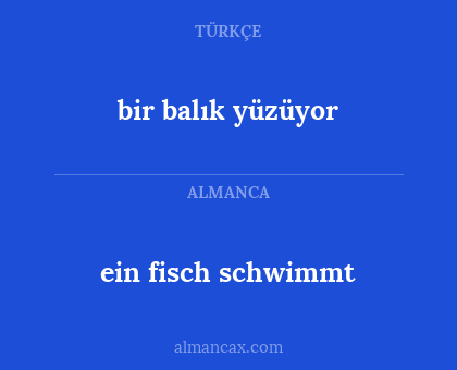 bir balık yüzüyor - ein fisch schwimmt