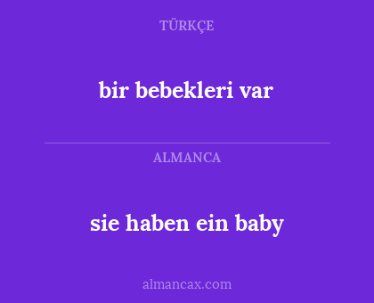 bir bebekleri var - sie haben ein baby