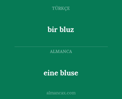 bir bluz - eine bluse