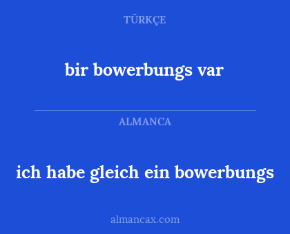 bir bowerbungs var - ich habe gleich ein bowerbungs