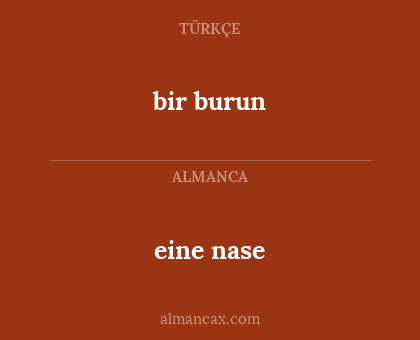 bir burun - eine nase