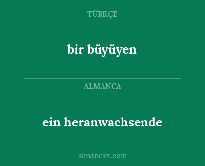 ein heranwachsende - bir büyüyen