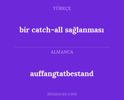 auffangtatbestand - bir catch-all sağlanması