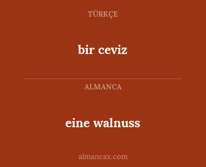 bir ceviz - eine walnuss