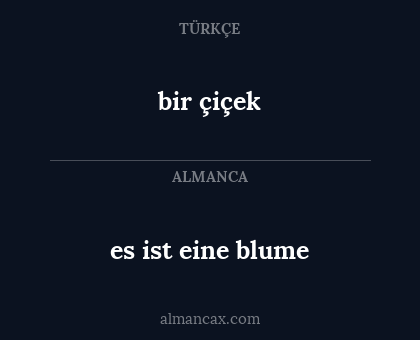 bir çiçek - es ist eine blume