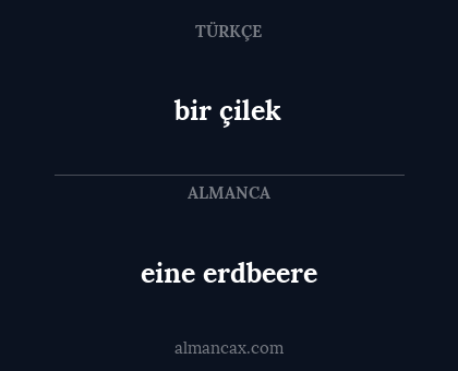 eine erdbeere - bir çilek