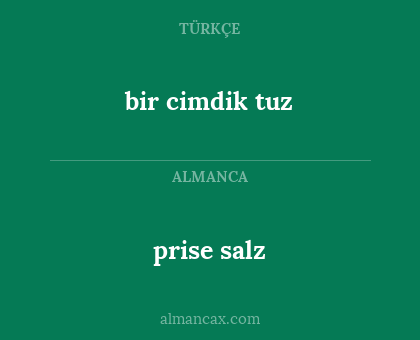 prise salz - bir cimdik tuz