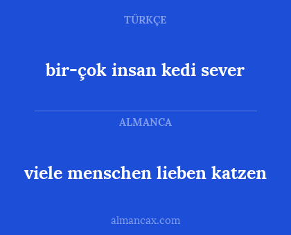 bir-çok insan kedi sever - viele menschen lieben katzen