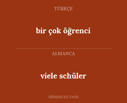 viele schüler - bir çok öğrenci