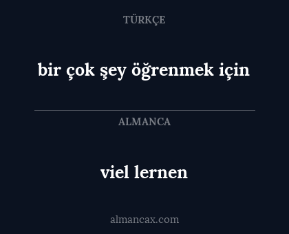 viel lernen - bir çok şey öğrenmek için