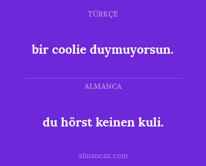 du hörst keinen kuli. - bir coolie duymuyorsun.
