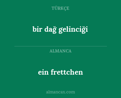 ein frettchen - bir dağ gelinciği