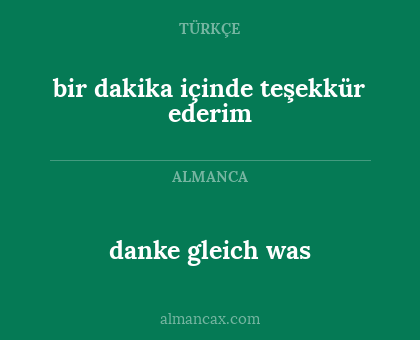 bir dakika içinde teşekkür ederim - danke gleich was