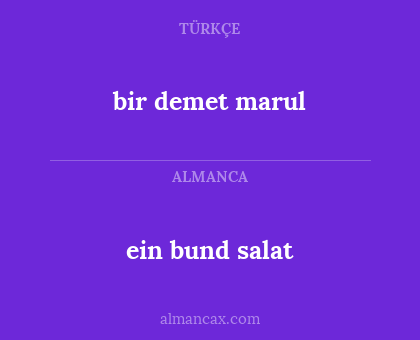 bir demet marul - ein bund salat