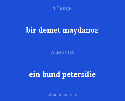 ein bund petersilie - bir demet maydanoz