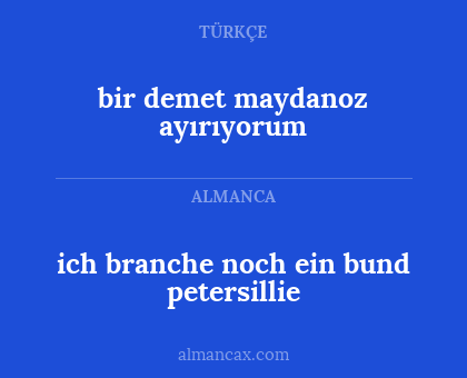 ich branche noch ein bund petersillie - bir demet maydanoz ayırıyorum