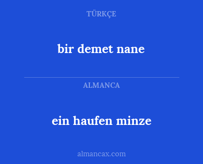 bir demet nane - ein haufen minze