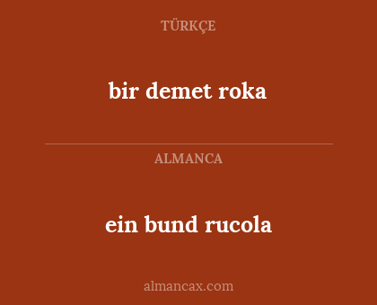 bir demet roka - ein bund rucola