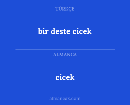 cicek - bir deste cicek
