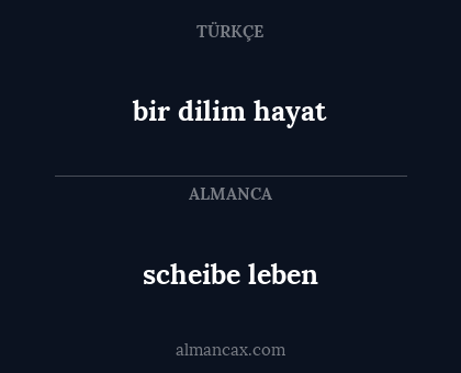 scheibe leben - bir dilim hayat